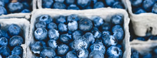 Punnet of blueberries