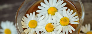 Chamomile Tea