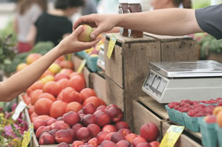 food market shopping