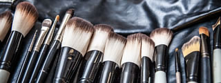 Make-up Brush