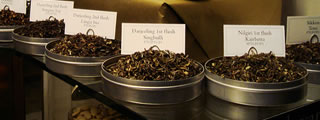 Different tea leaves Different tea leaves