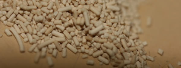 Yeast has many benefits for the skin. Image Credit: Quinn Dombrowski (Flickr.com)