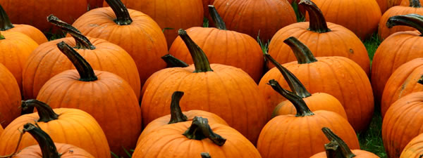 Pumpkin is a great beauty ingredient | Titanic Spa News | Image Credit: liz west (flickr.com)