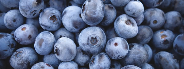blueberry health benefits