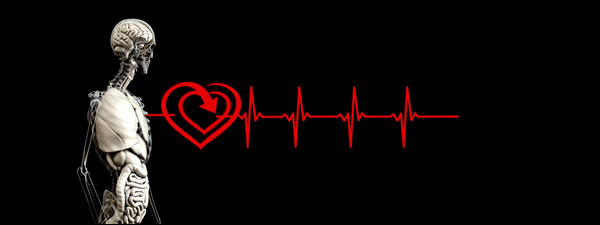 Healthy heart