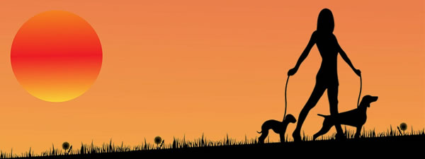 dog walking