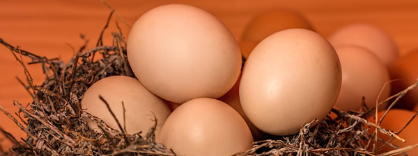 Chicken eggs