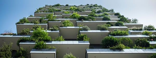 Trees and flowers on balconies of high-rise building