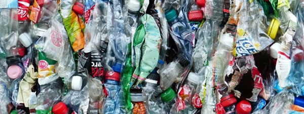 plastic bottles