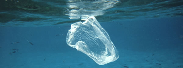 ocean plastic pollution