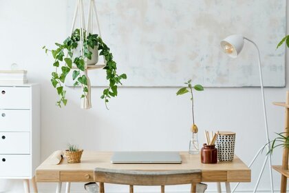 Wooden desk with plants and lamp