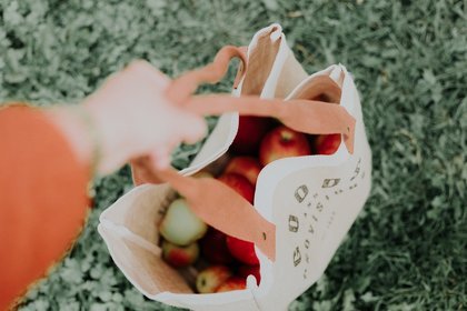 Bag filled with apples