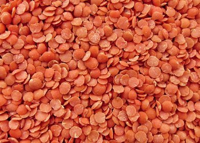 Red Lentils