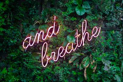 A neon light that says just breathe