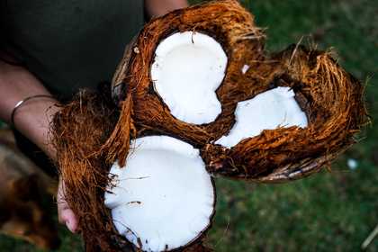 making coconut oil