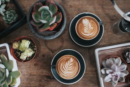 coffee mugs next to houseplans