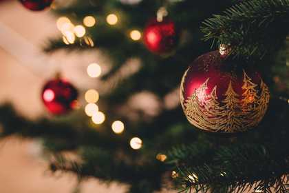 bauble hanging from a tree