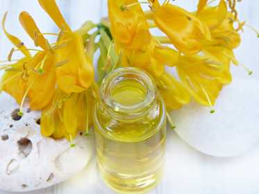 Jojoba oil for natural skin care