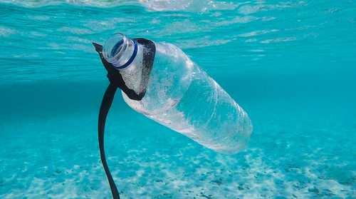 clear plastic bottle beside beach