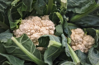 Cauliflower vegetable macro photography