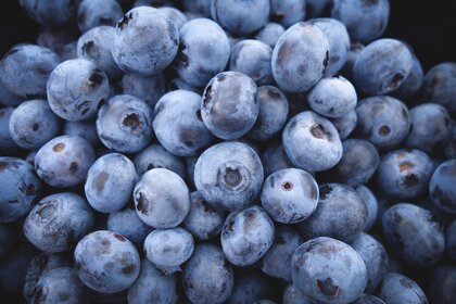 Fresh Blueberries