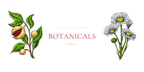 the best spring botanicals for skincare